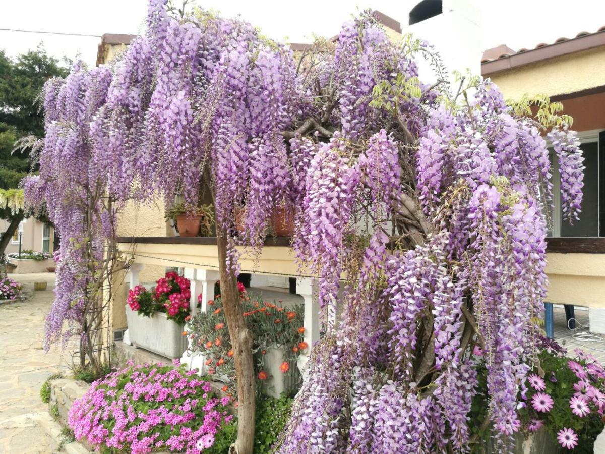 Casa Vacanze La Guzzetta Ranch Villa Canaglia Esterno foto